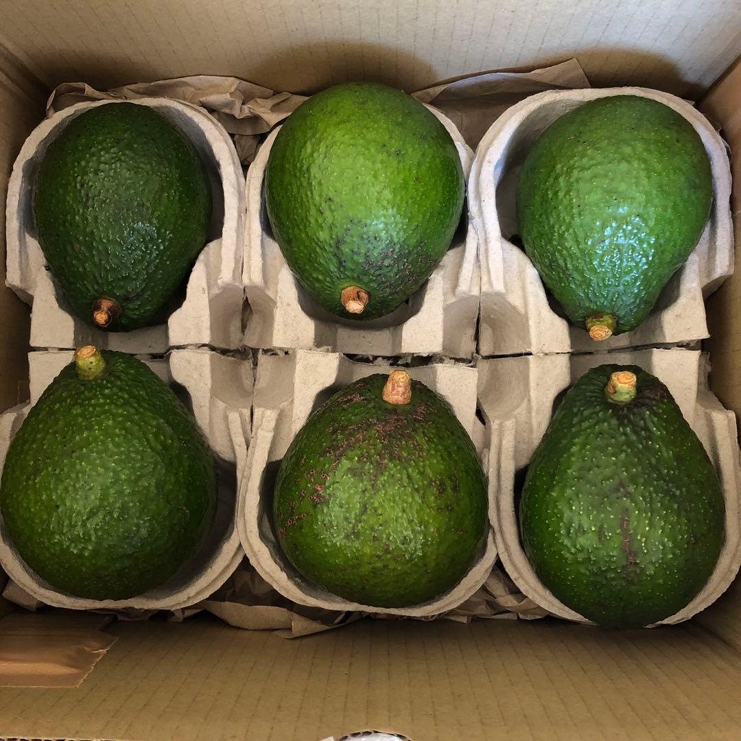 Caja Familiar de Aguacate Hass (3 kg)